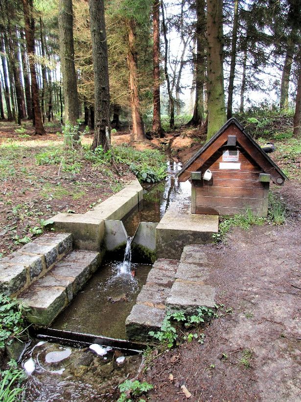 Přadnýho studánka (10678)