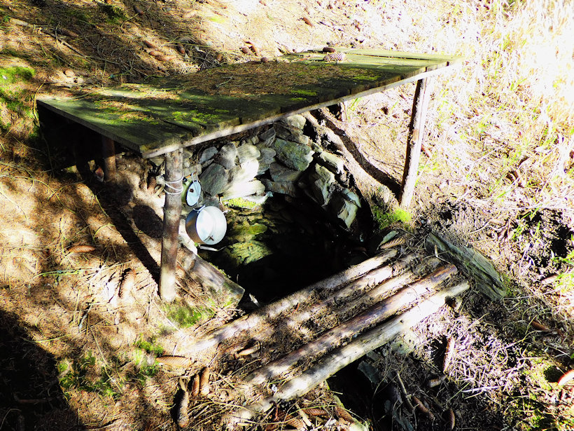 studánka bez jména (10679)