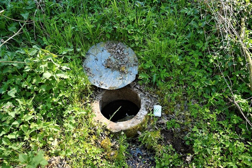 studánka bez jména (10680)
