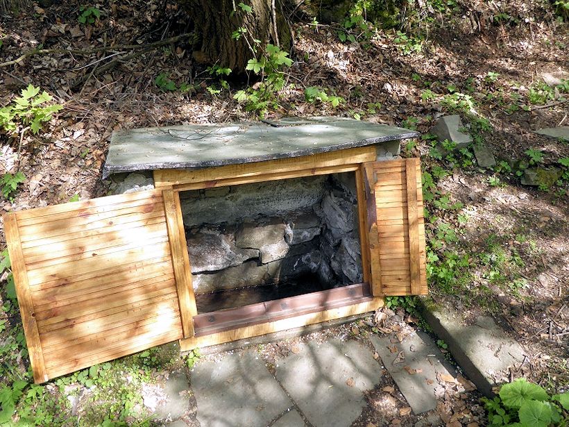 studánka bez jména (10694)