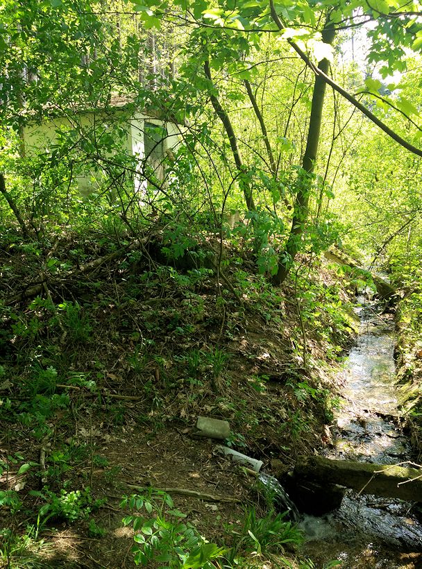 jiný vodní zdroj U židovského hřbitova (10702)