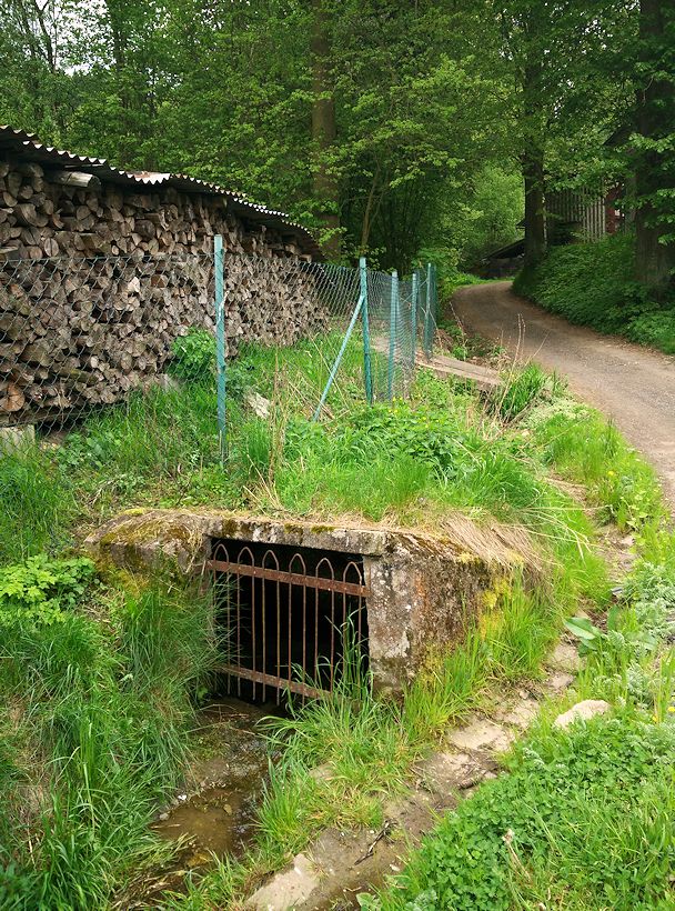studánka U školy (10705)