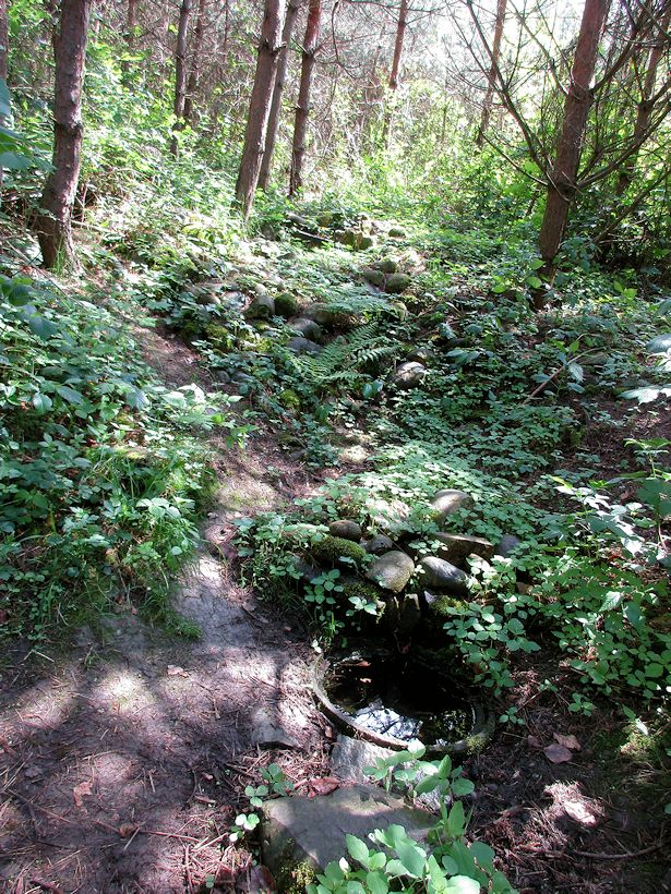 studánka Pavla (10706)