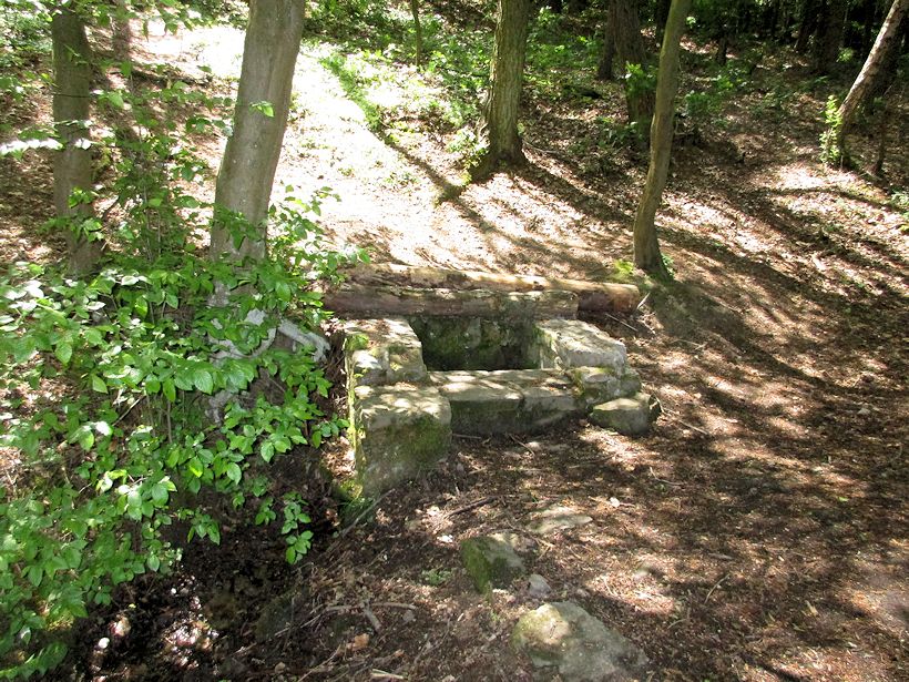 studánka Budonice (10707)