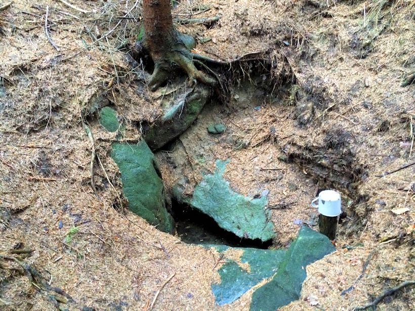studánka Královka (10708)