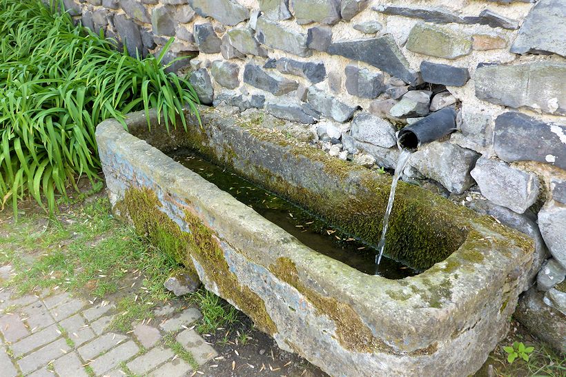 studánka Kašna v Suché (10720)
