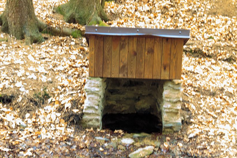 studánka Pod Žižkovým dubem (10722)