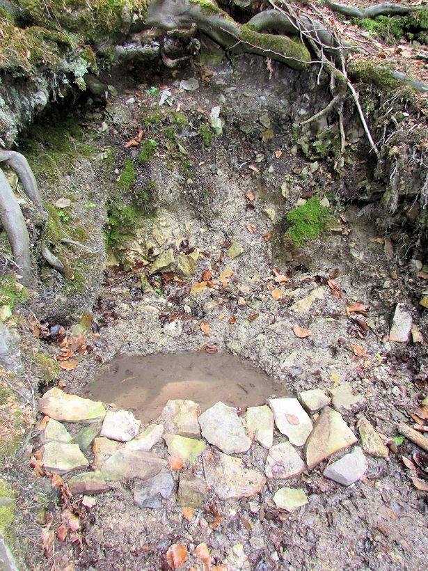 studánka Bělka (10729)