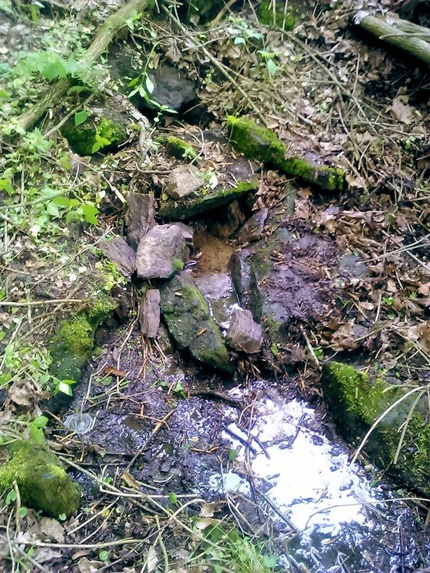 studánka Obora (10730)