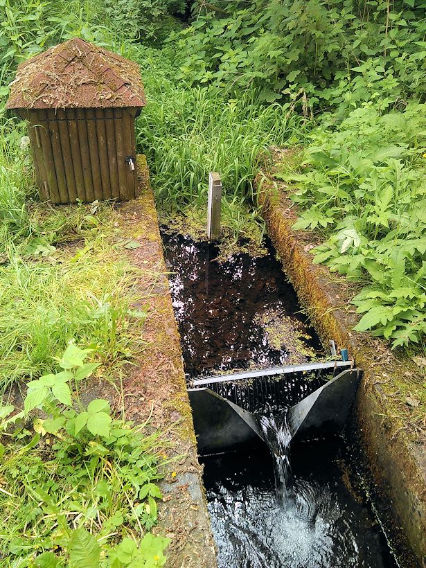 pramen Zhůřská studánka (10734)