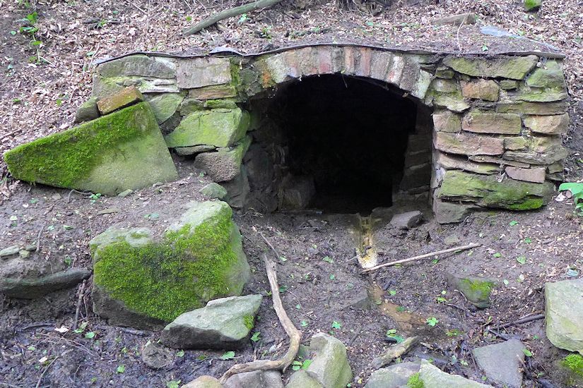 studánka bez jména (10735)