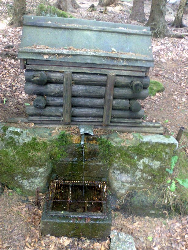 studánka Lesní (10739)