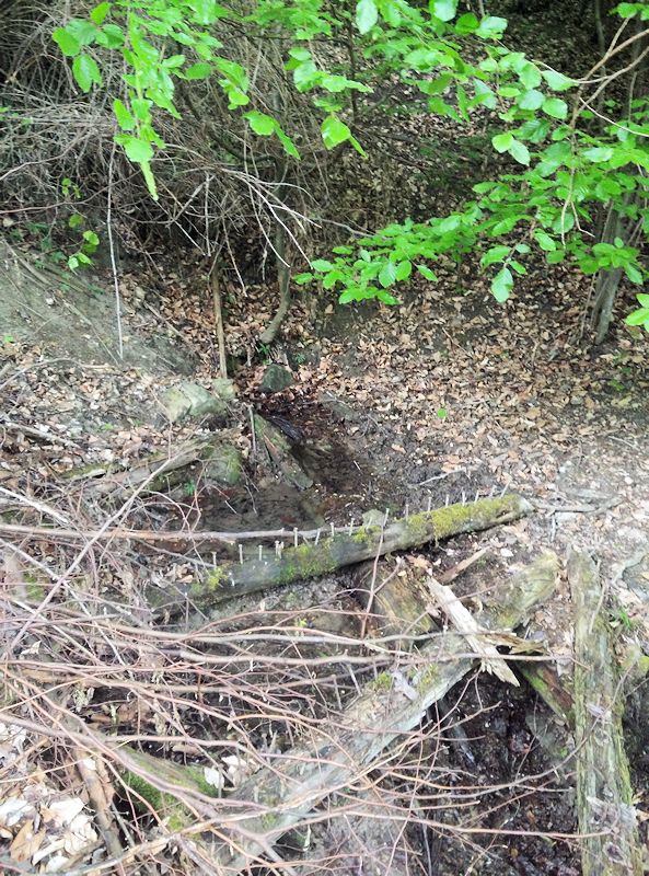 studánka Nad sv. Václavem (10752)