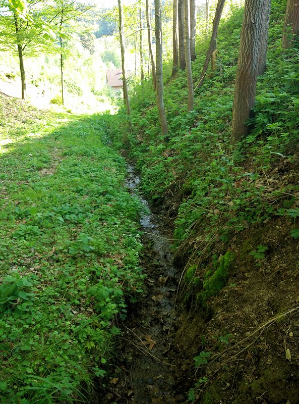 pramen Nad Humperkem (10757)