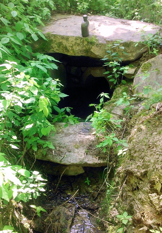 studánka Na Skalkách (10764)
