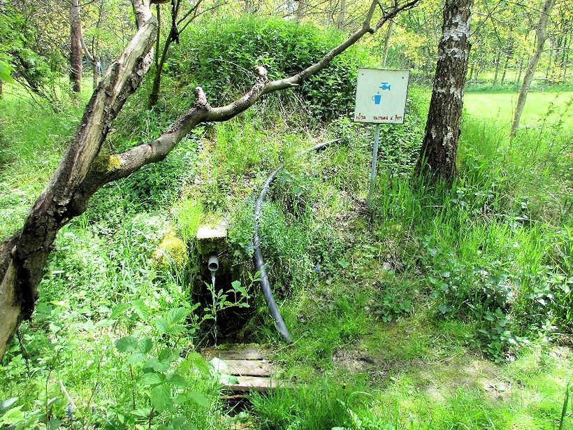 studánka U okruhu (10776)