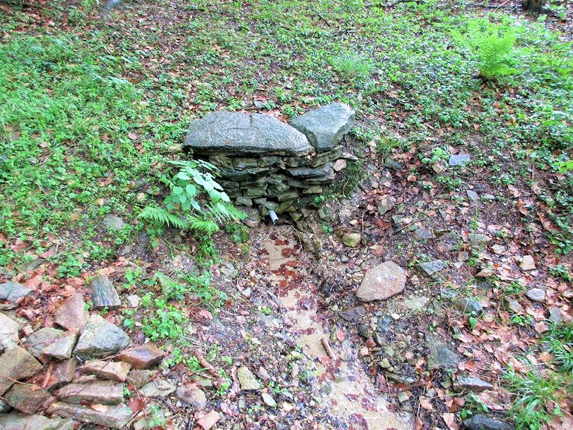 studánka U pomníku (10777)