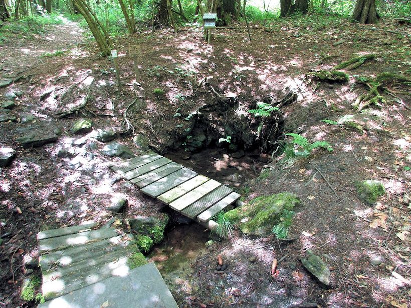 studánka bez jména (10778)