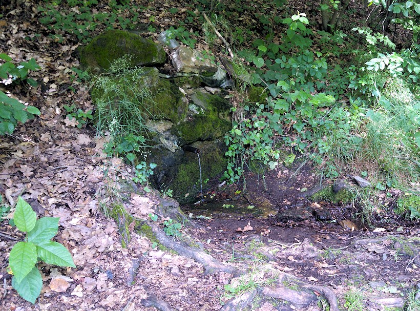 studánka bez jména (10785)
