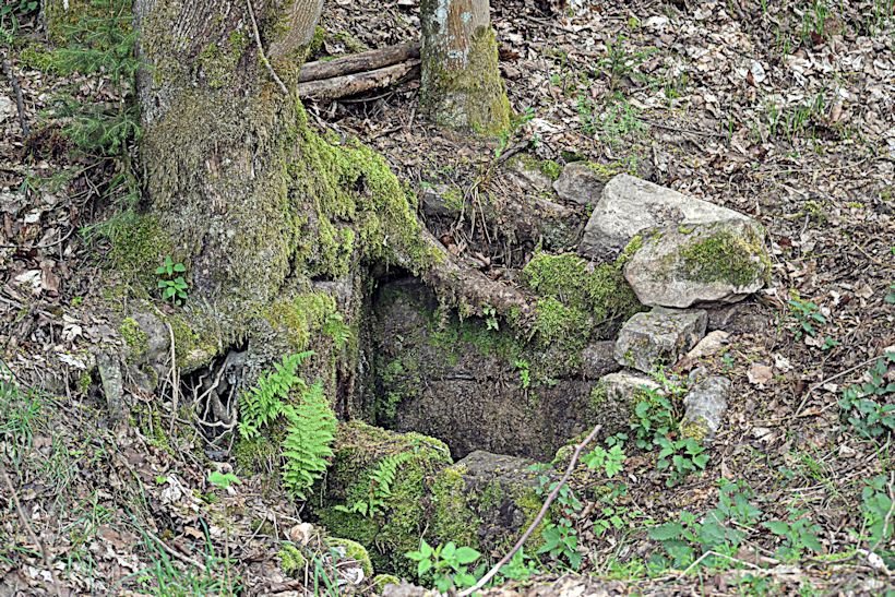 studánka bez jména (10800)