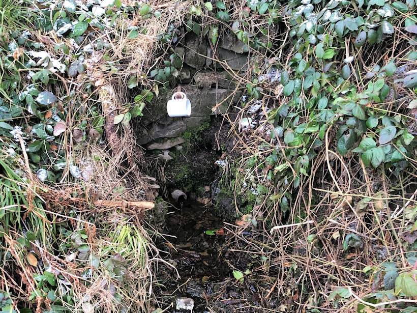 studánka Bílé studýnky (10827)