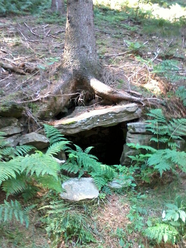 studánka Pod Kyvňačkou (10834)
