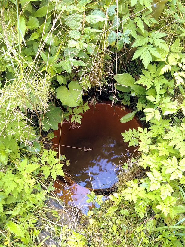 studánka Nezdická kyselka (10843)