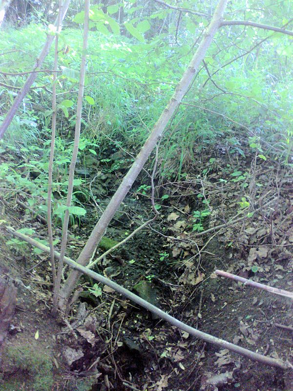 pramen Nad smradlavkou (10867)