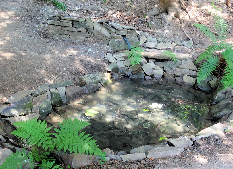 studánka bez jména (10870)