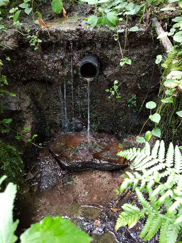 Studánka Tĕpeře (10874)