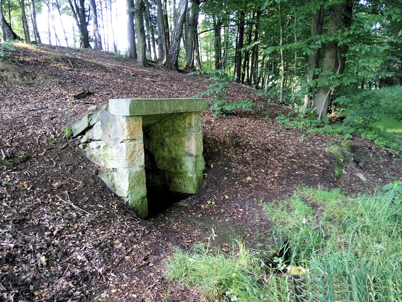 studánka Vítězná (10876)