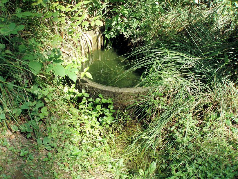 studánka U Voráčů (10890)