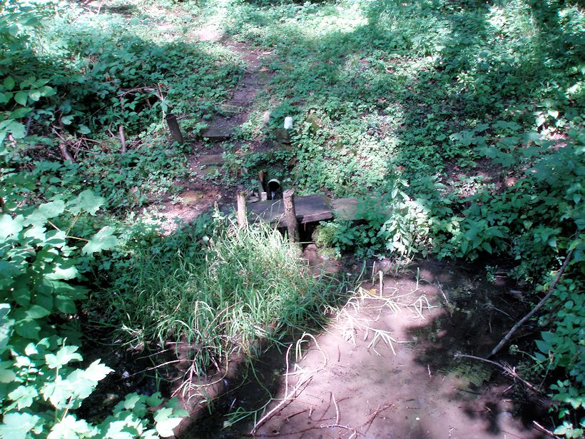 studánka U Sklářské chaty (10891)