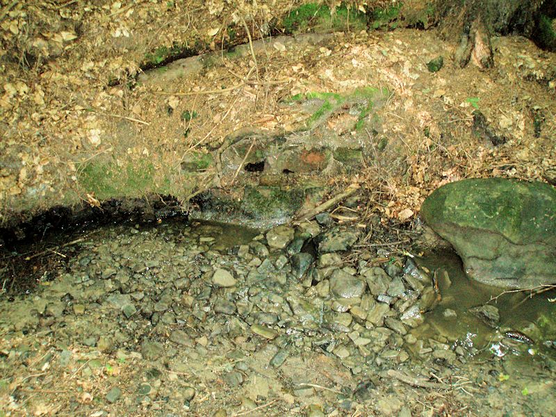 studánka Zdravá voda (10894)