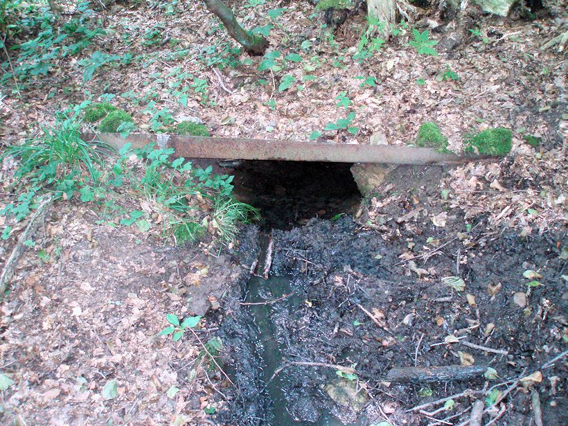 studánka Pod Třešňákem (10903)