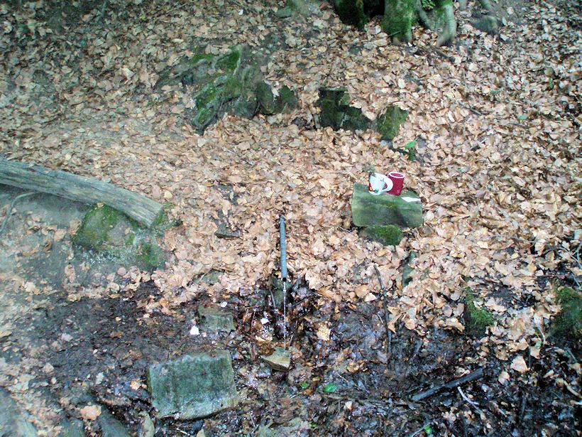 studánka Pod vagónem (10904)