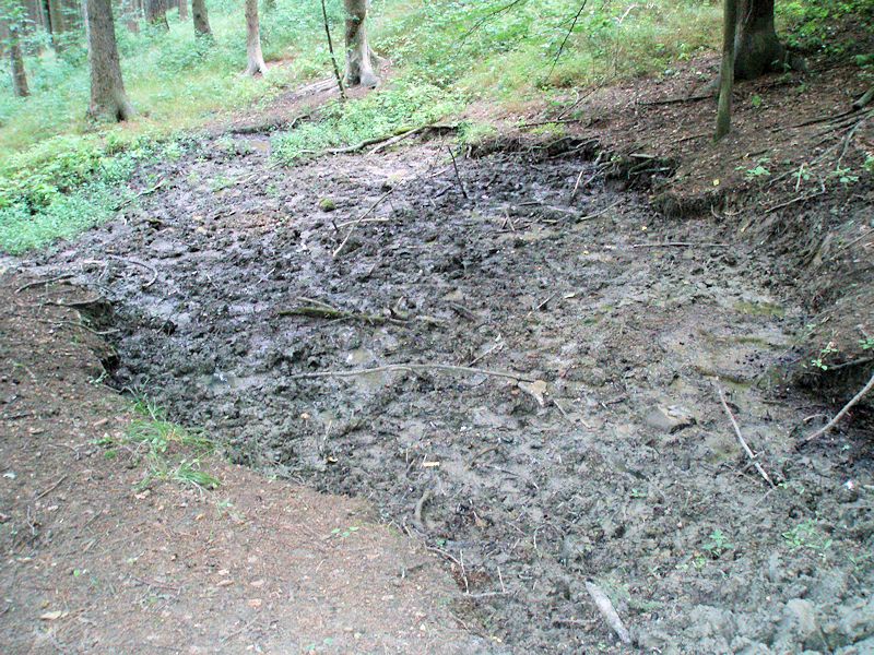 prameniště bez jména (10908)