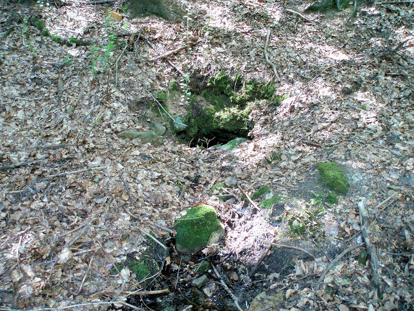 Velebilova studánka (10909)
