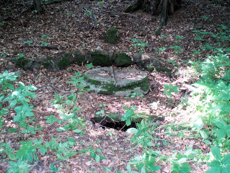 studna Na Petrovských (10912)
