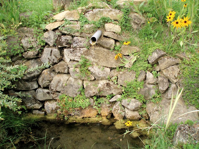 Koukalova studánka (10919)