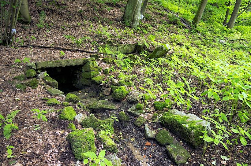 studánka bez jména (10922)