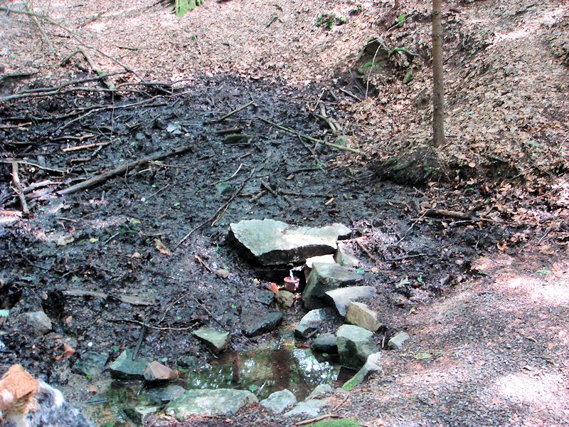 studánka Pod babinkami (10923)