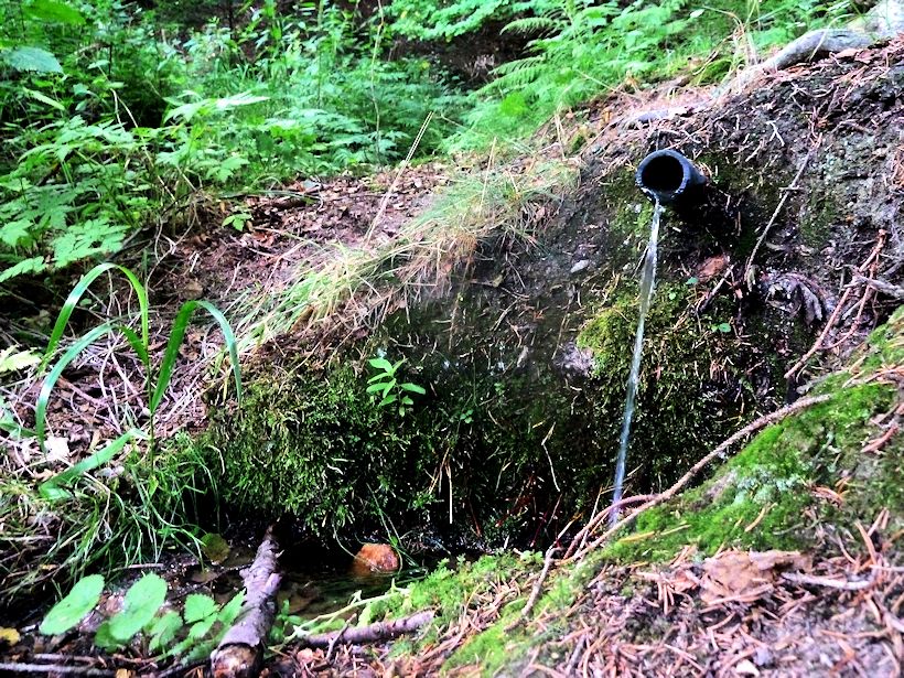 studánka bez jména (10926)