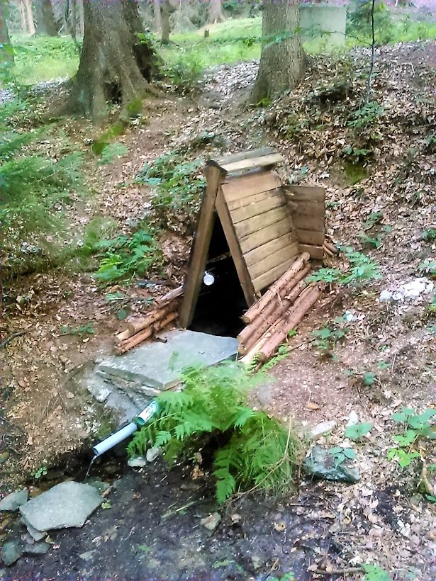 studánka bez jména (10929)