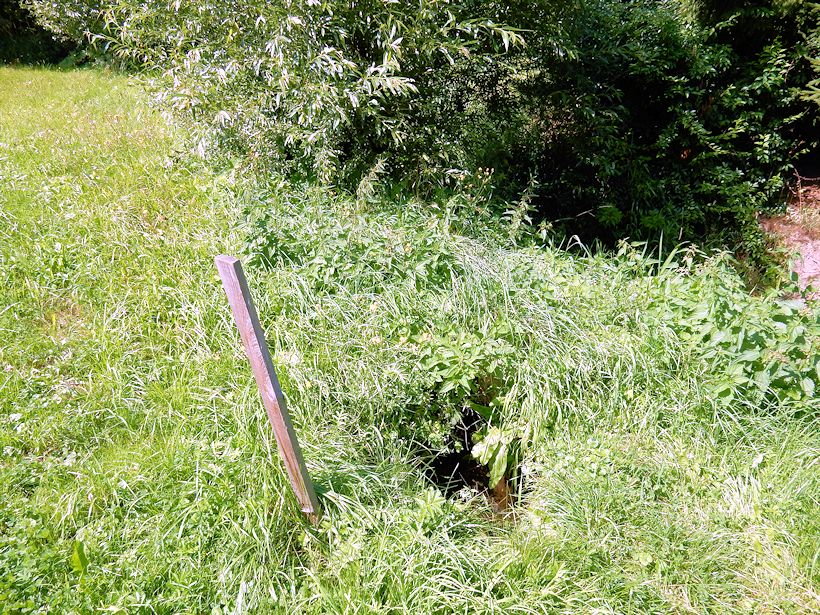 studánka U cesty (10932)