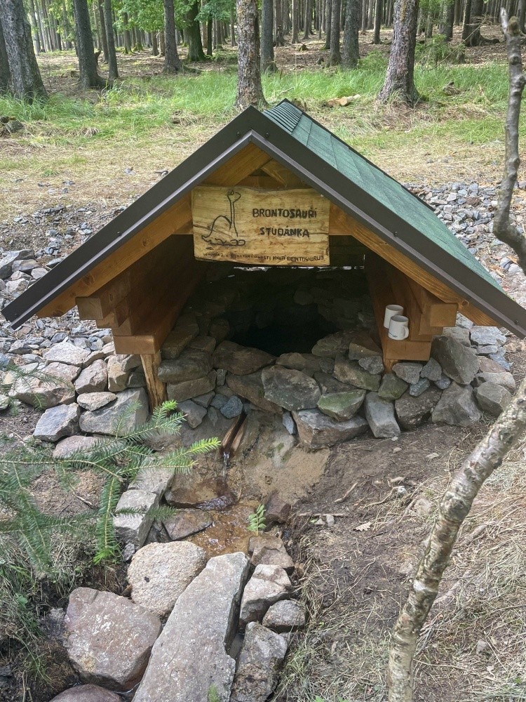 Brountosauří studánka (10937)
