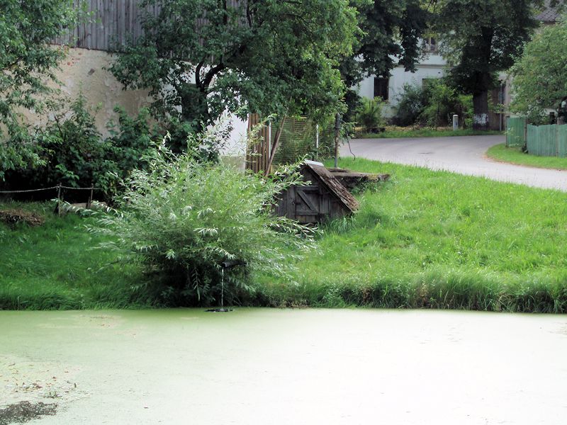 Strměšská studánka (10939)