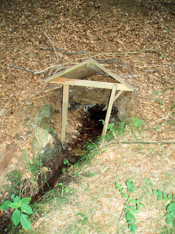 studánka U Žabárny (10945)