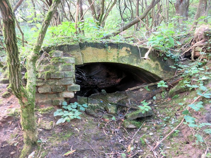 studánka Žerka (10950)