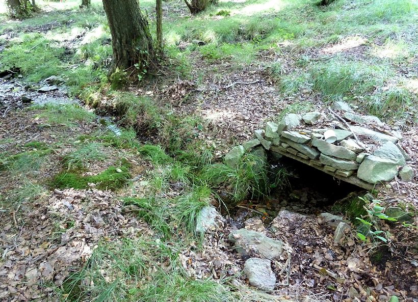 studánka Voznický pramen 1 (10954)